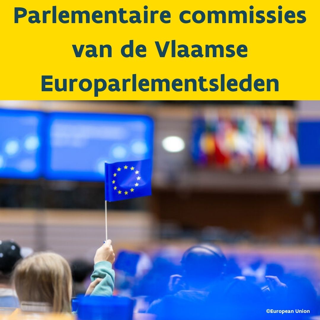 Dit zijn de parlementaire commissies van de Vlaamse Europarlementsleden